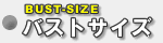 バストサイズ